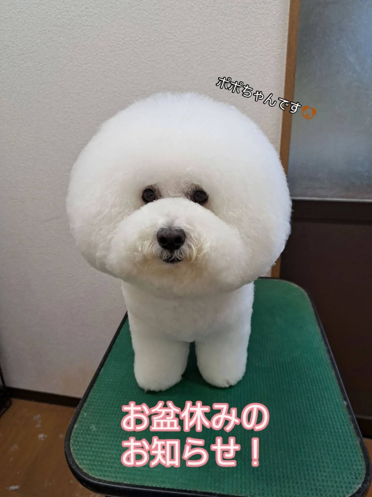 ♡お盆休みのお知らせ♡