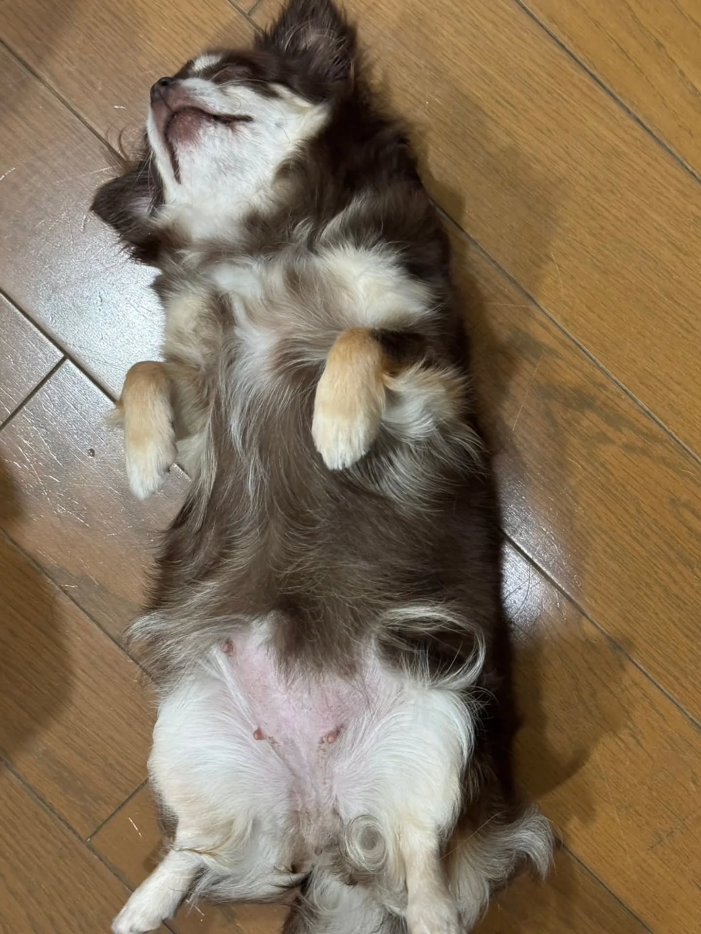もうすぐ出産する