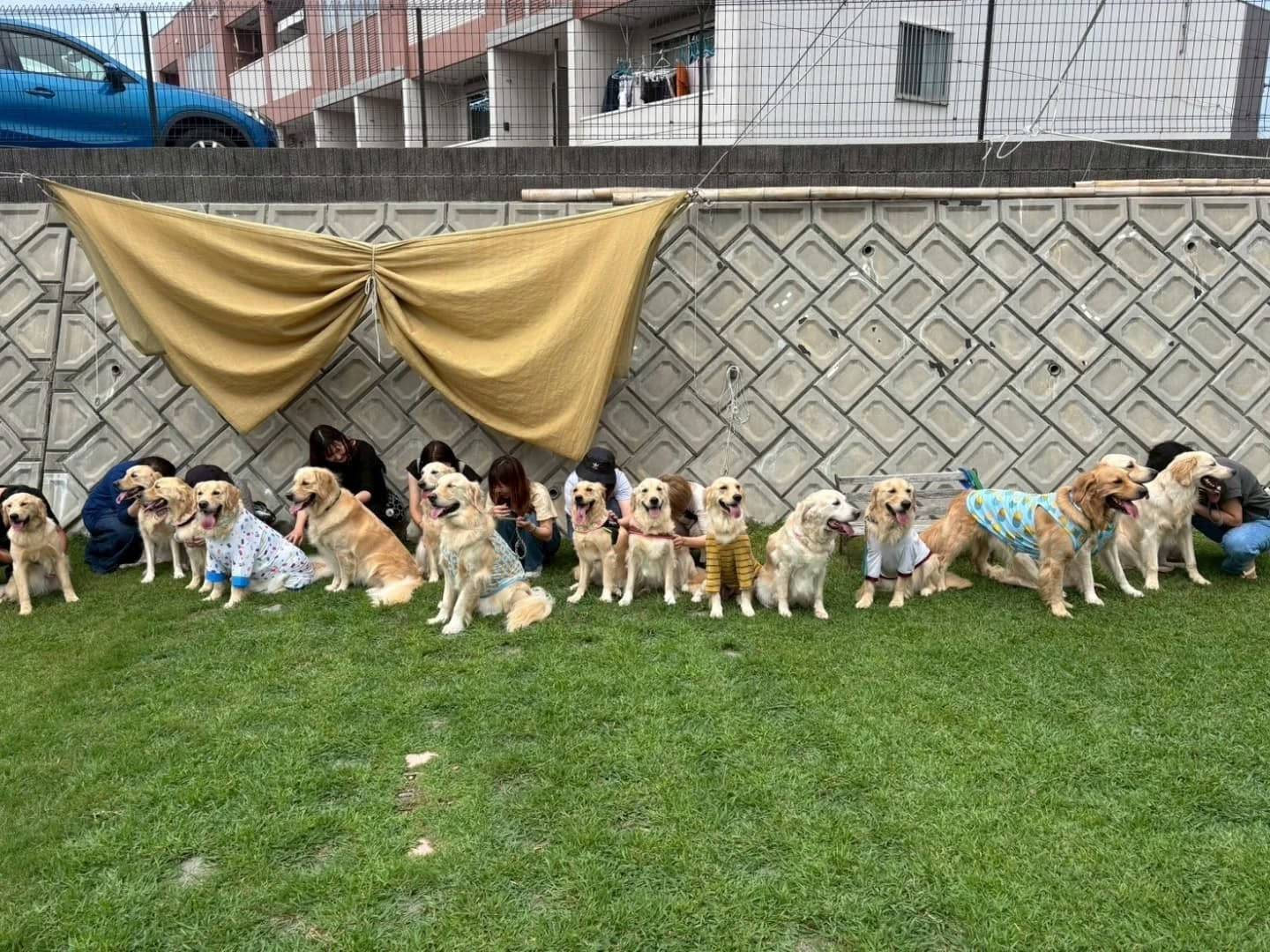 ラサ会🐶