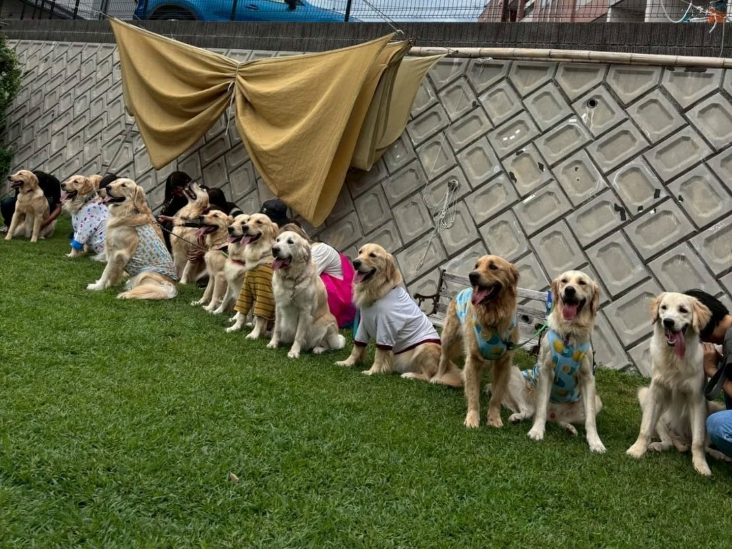ラサ会🐶