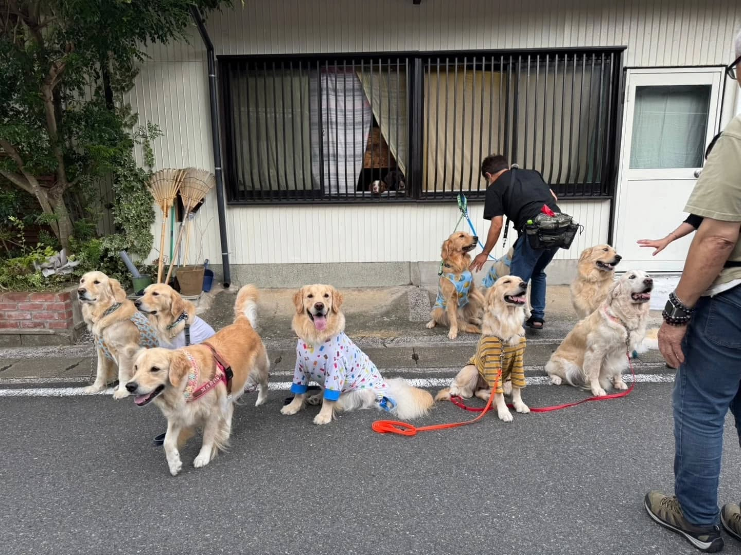 ラサ会🐶