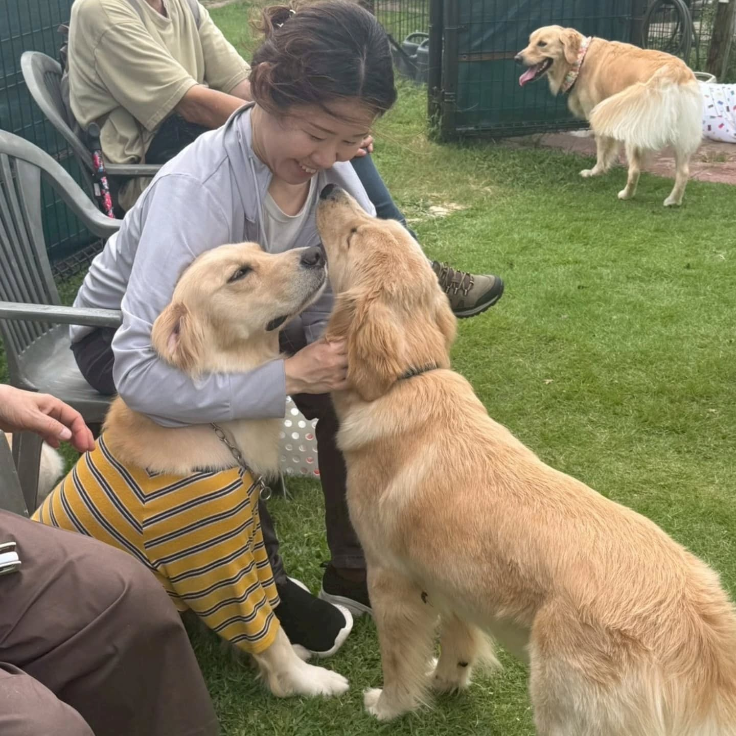 ラサ会🐶