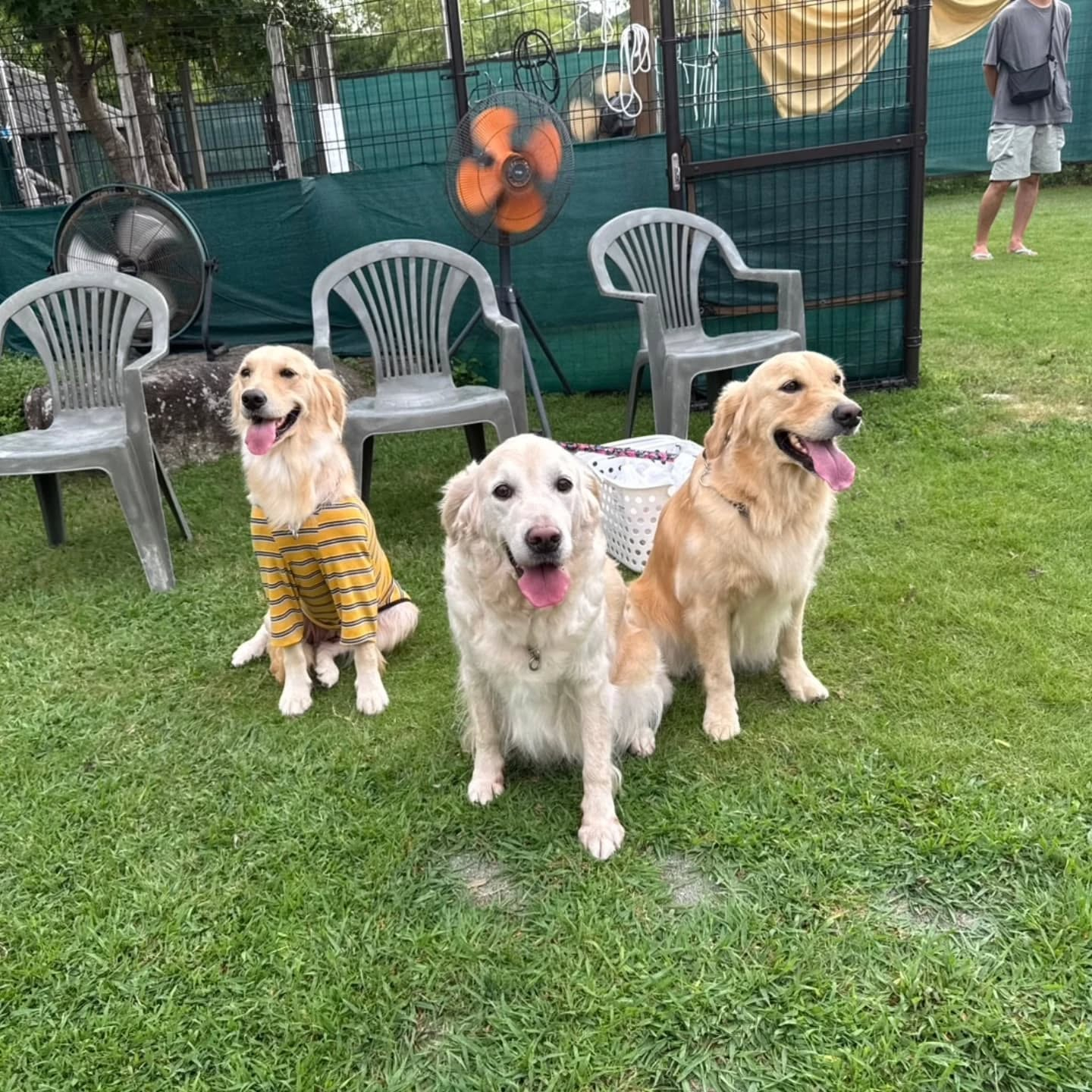 ラサ会🐶