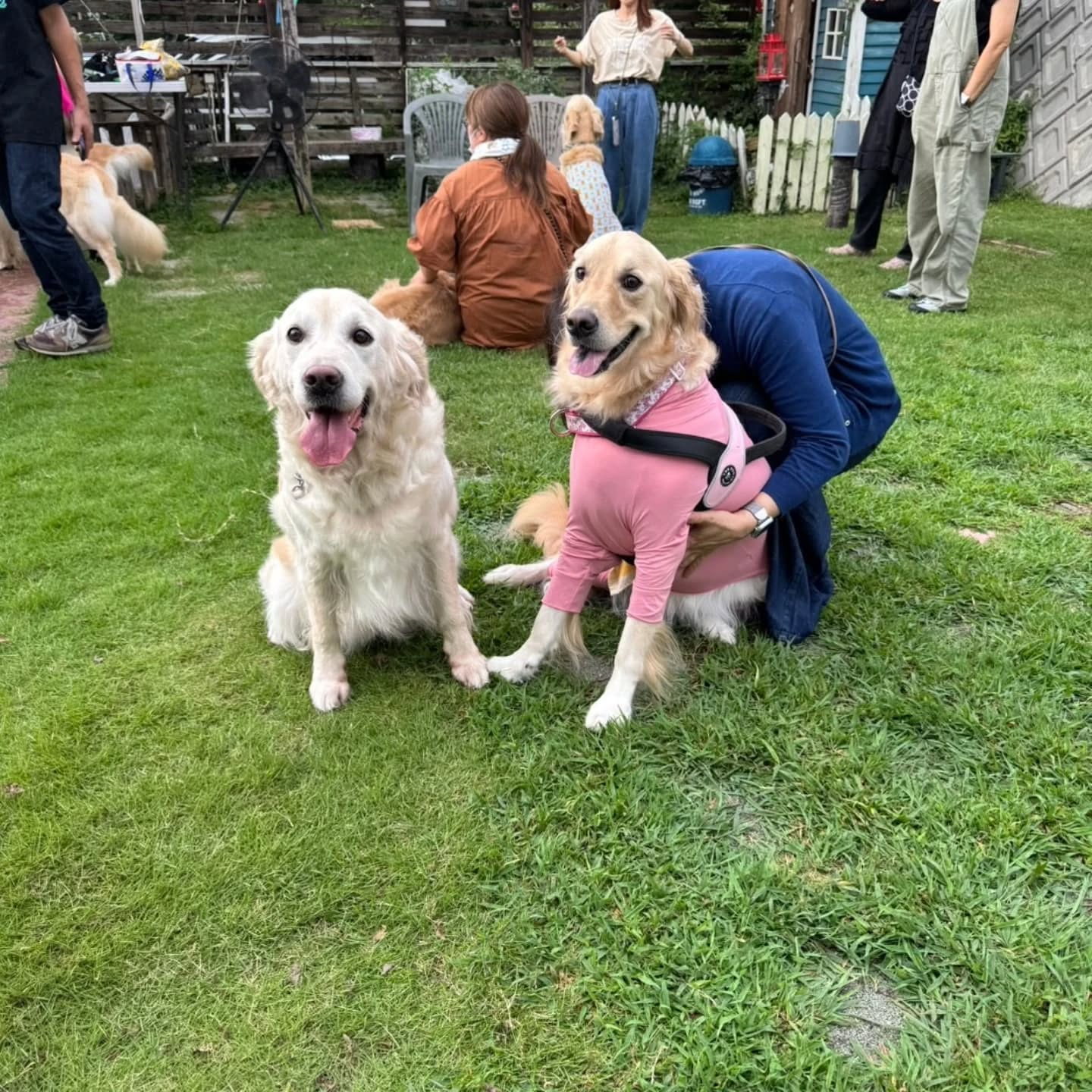 ラサ会🐶