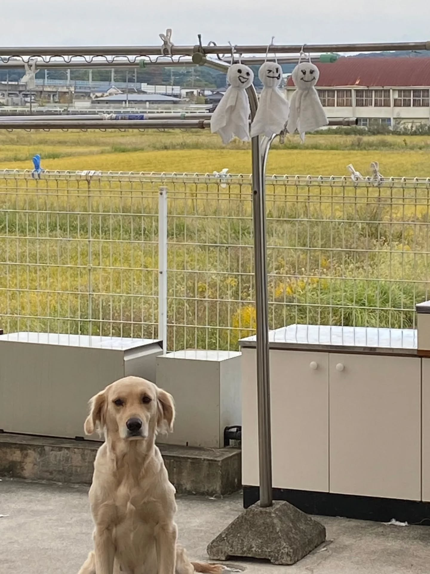 明日、宮若店にて。