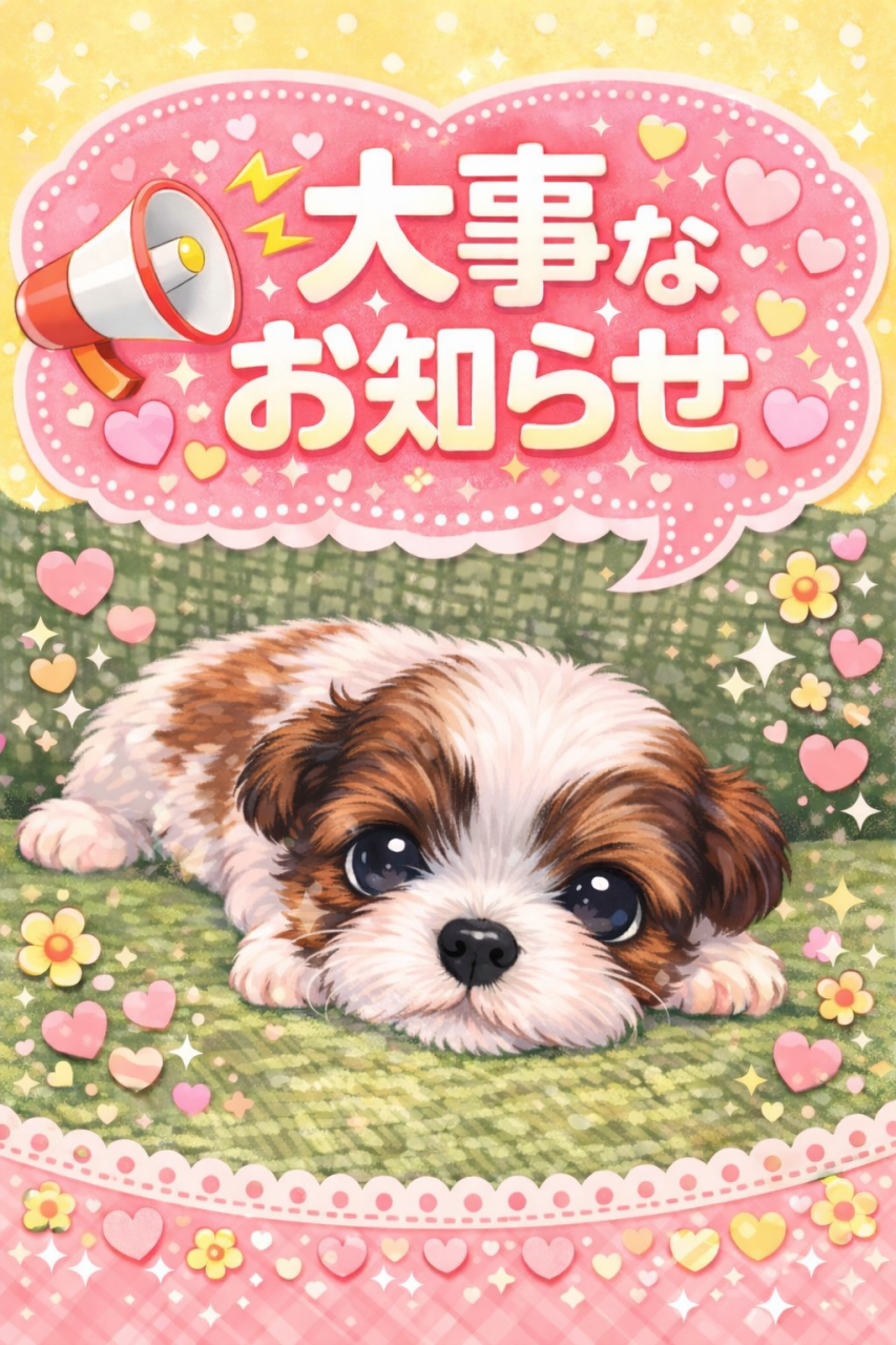 お客様感謝セールについて