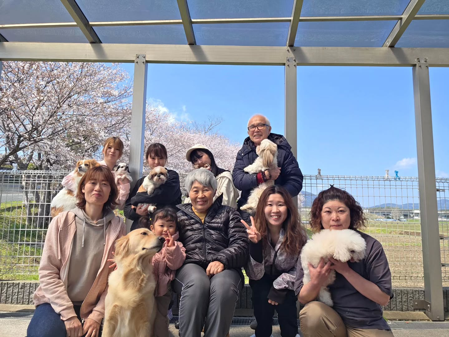 もう桜は散ってしまいましたが…💦