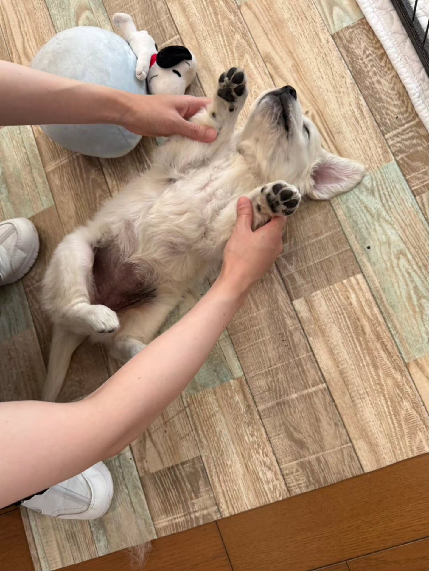 楓華に妹ができました✨