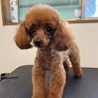 ギャラリー(お父さん)