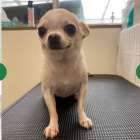 里親さん募集中です♪